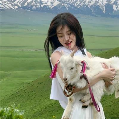 鉴你所见：峡谷大战